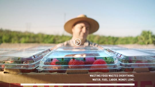 food_waste_video.jpg