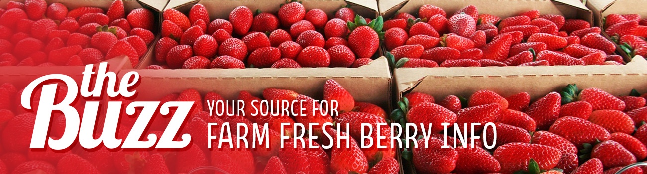 The Buzz: Your source for farm fresh berry info