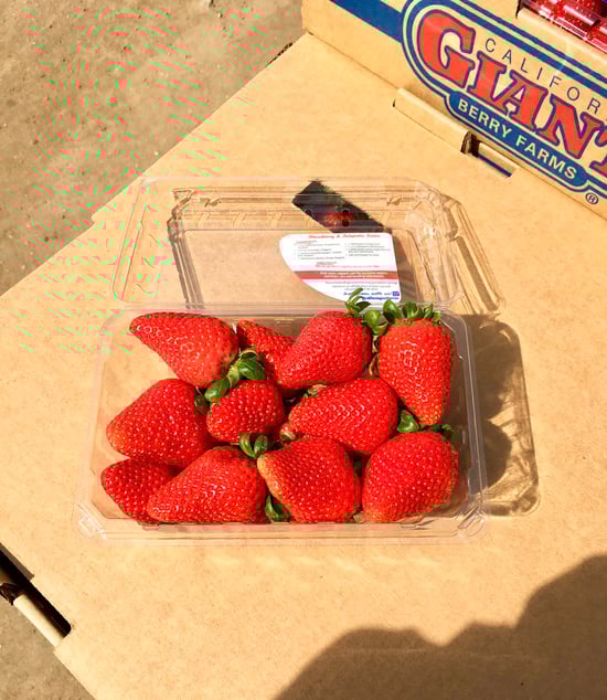 Oxnard Straws1.jpg