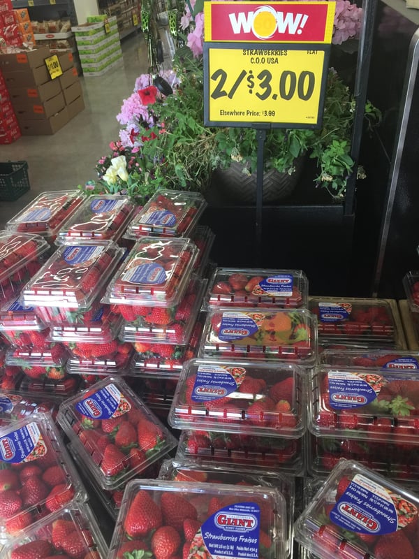 Pick of the Week.jpeg