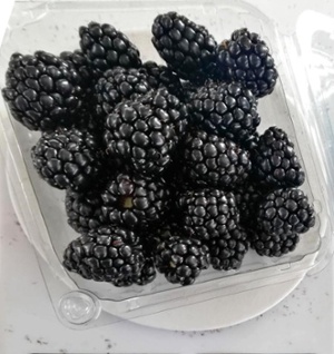 Blackberries MX-1-1