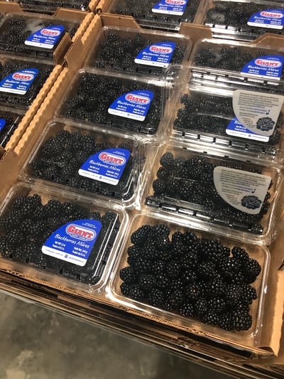 Blackberry georgia