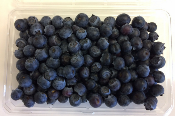 Blueberry Clamshell Final.png