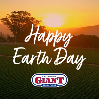 CG_EarthDay21_fontOption-1-1