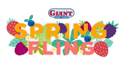 CG_Spring_Fling_Promo_Logo-1