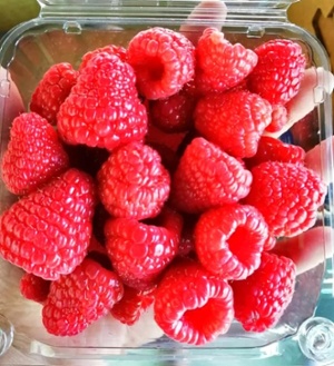 Raspberries MX-1-1