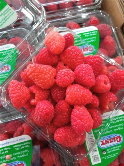 Raspberry-1