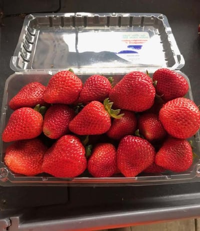 SM Strawberry