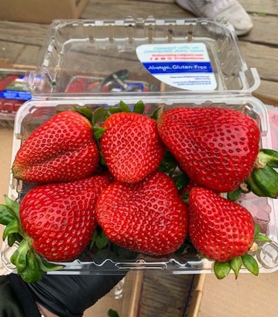Strawberries-1