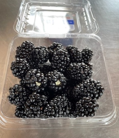 Watsonville Blackberries-1