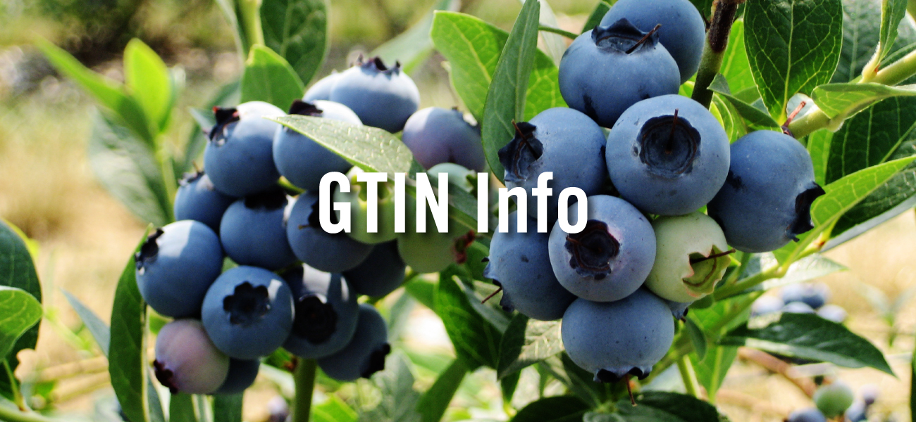 GTIN Info