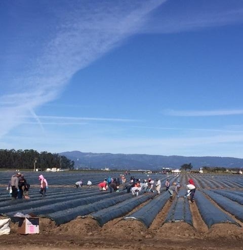 planting 11-16)-174765-edited.jpg